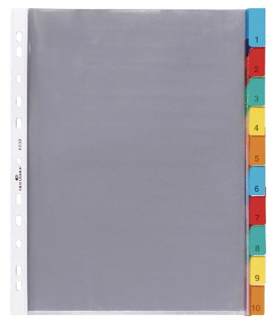 Durable Hüllenregister - Folie, blanko, transparent, A4, 10 Blatt